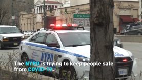 New York police