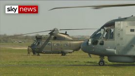 UK Army helicopters