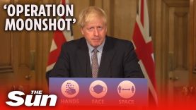 COVID-19: Boris Johnson’s £100bn