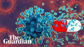 Coronavirus: what has changed about what we know?
