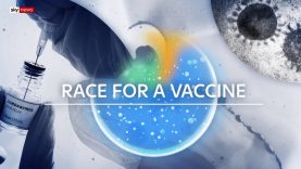 Coronavirus: How a vaccine would work