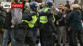 COVID-19: More than 150 arrests as anti-lockdown protesters clash with police in London