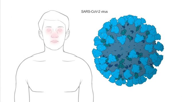 How does Moderna’s Coronavirus vaccine work?