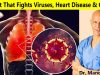 #1 Nut that Fights Viruses, Heart Disease & Cancer | Dr Alan Mandell, DC