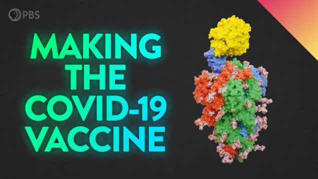 Inside the Lab That Invented the COVID-19 Vaccine