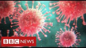 UK mutant coronavirus strain “out of control” as countries announce travel bans – BBC News