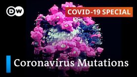 Understanding what’s driving coronavirus mutations | COVID-19 Special