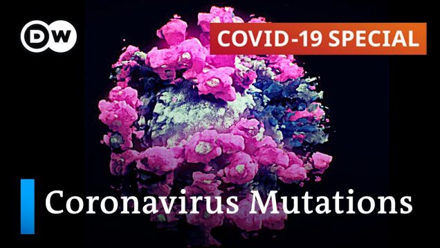 Understanding what’s driving coronavirus mutations | COVID-19 Special