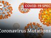 What do the current mutations mean for the coronavirus pandemic? | COVID-19 Special
