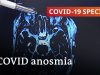 Latest research: Long-covid and the loss of smell | COVID-19 Special