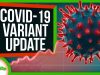 We Know More About Those COVID-19 Variants. It’s Not Great | SciShow News