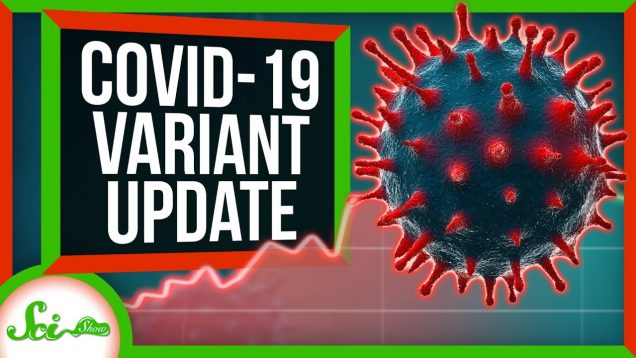 We Know More About Those COVID-19 Variants. It’s Not Great | SciShow News