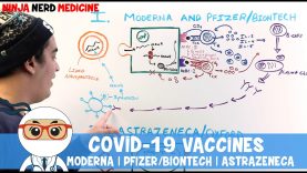 COVID-19 Vaccines: MODERNA | PFIZER/BIONTECH | ASTRAZENECA