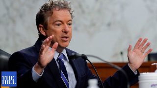 Rand Paul CLASHES with witness over COVID-19 vaccines