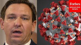 This Will Blow Up Narratives’: DeSantis Offers Prediction On How Delta Variant Will Spread