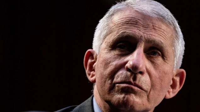 Fauci lied’: New documents on lab leak theory released