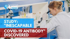 Study: “Inescapable COVID-19 Antibody” Discovered