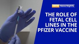 The Role of Fetal Cell Lines in the Development of the Pfizer COVID Vaccine | EWTN News Nightly