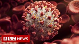 Fears heavily mutated Covid variant ‘may evade vaccine protection’ – BBC News