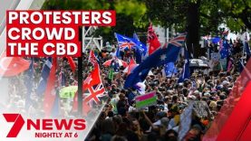 Protesters form a huge crowd in the Melbourne CBD | 7NEWS