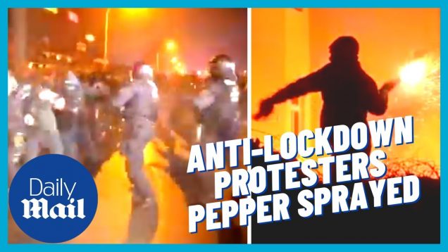 Covid chaos: Anti-lockdown protesters pepper sprayed by German police