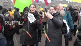 Netherlands: Thousands gather in Amsterdam to protest vaccinations